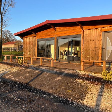 Petit Chalet Au Coeur De La Foret Proche Disney La Houssaye-en-Brie Экстерьер фото